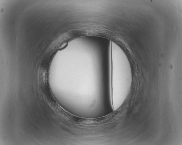 X0000087420123200704201055