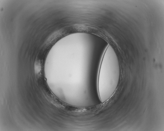 X0000087420124200704201055