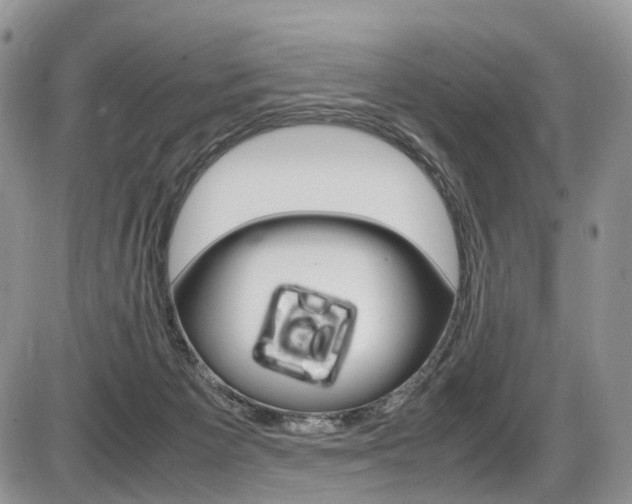 X0000087420125200704201055