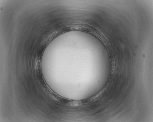 X0000087420126200704201055