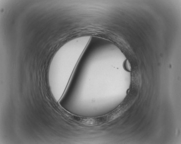 X0000087420127200704201055