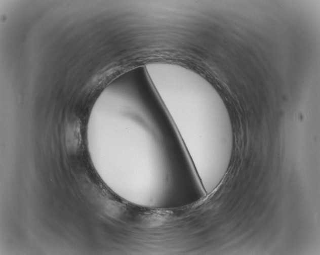 X0000087420128200704201055