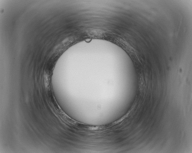 X0000087420130200704201055