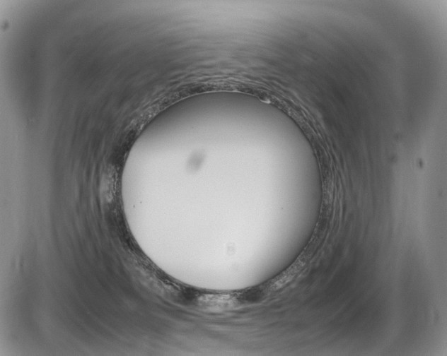 X0000087420133200704201055