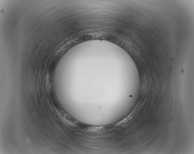 X0000087420136200704201055