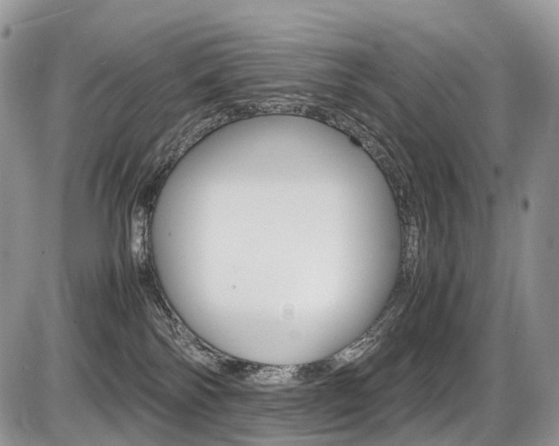 X0000087420138200704201055