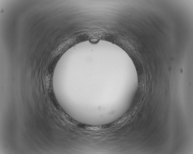 X0000087420139200704201055