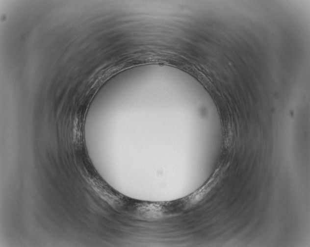 X0000087420140200704201055