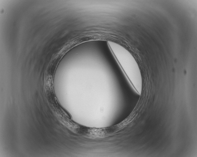 X0000087420141200704201055