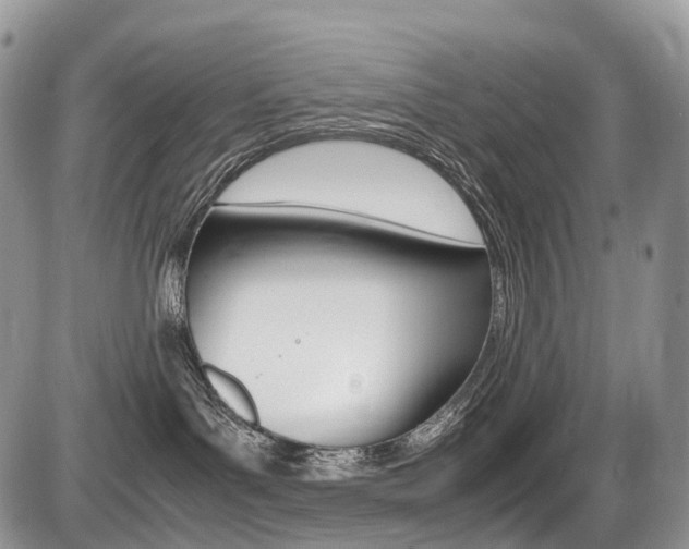 X0000087420143200704201055