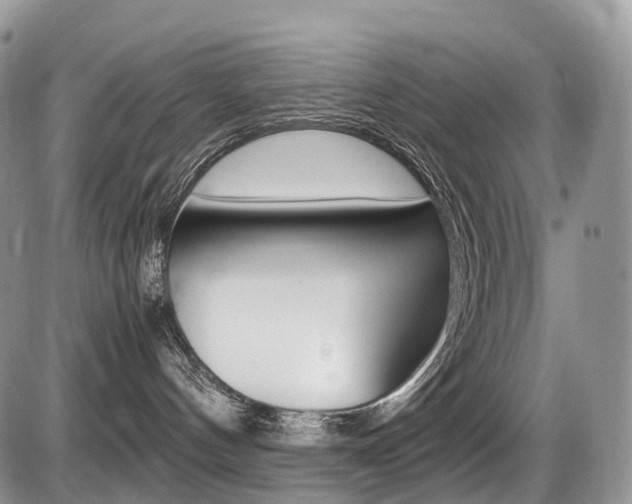 X0000087420144200704201055