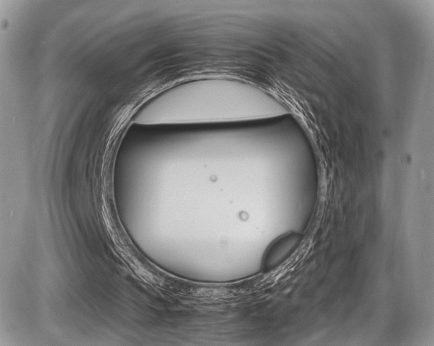 X0000087420145200704201054