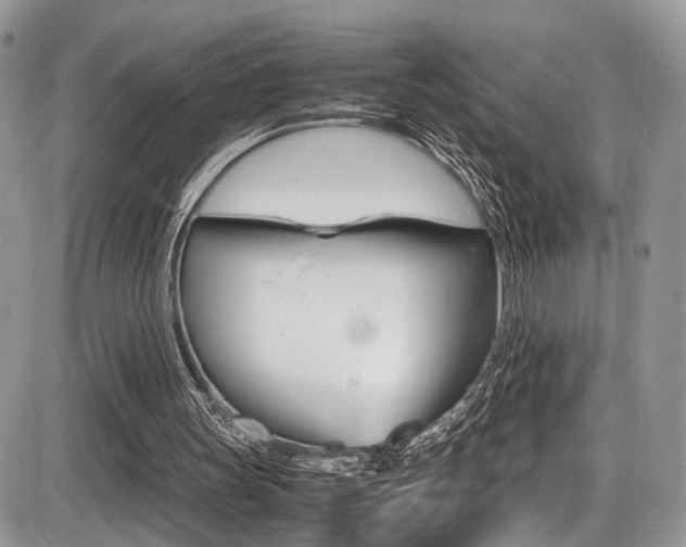 X0000087420147200704201054