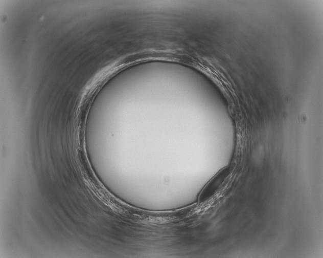 X0000087420149200704201054