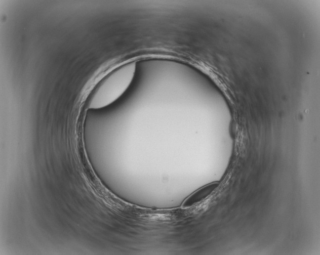 X0000087420151200704201054