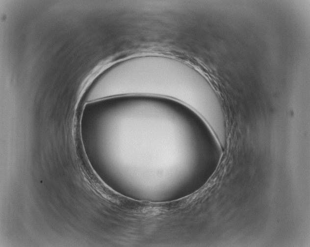 X0000087420152200704201054