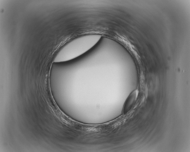 X0000087420153200704201054