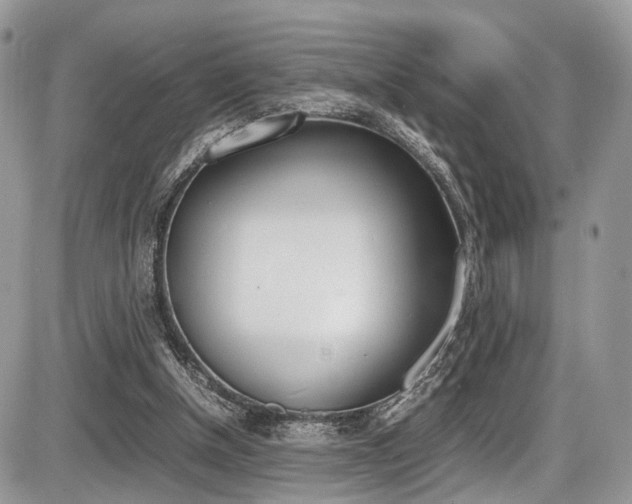 X0000087420154200704201054