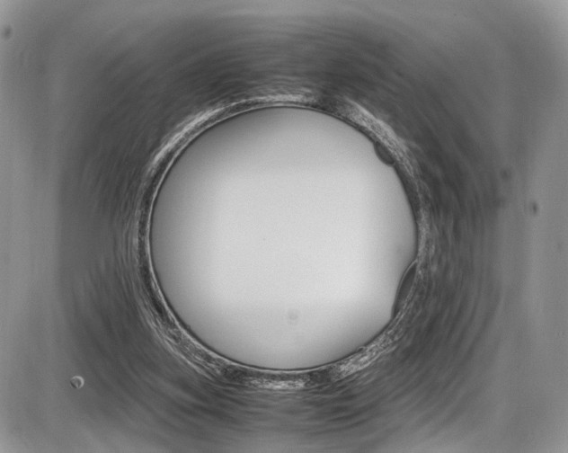 X0000087420155200704201054