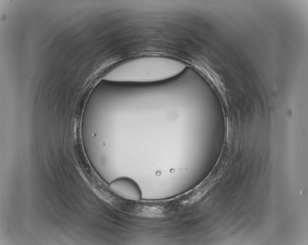 X0000087420157200704201054