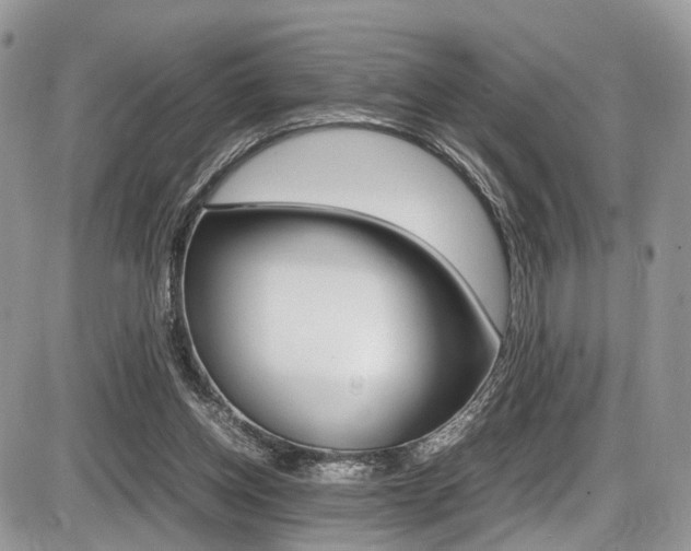 X0000087420158200704201054