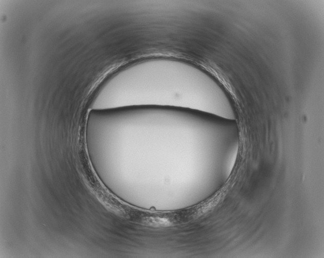 X0000087420159200704201054