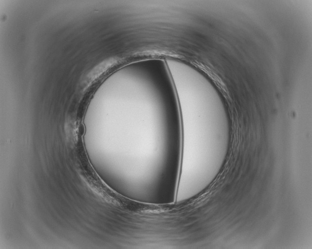 X0000087420160200704201054