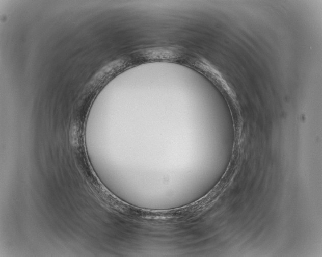 X0000087420161200704201054