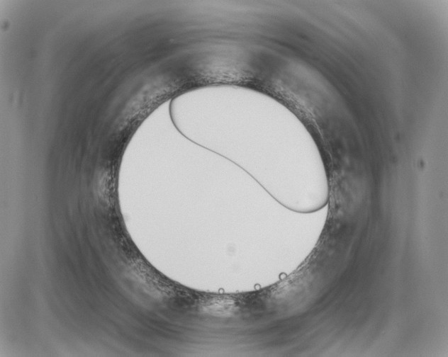 X0000087420162200704201054