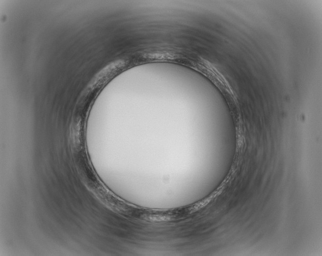 X0000087420163200704201054