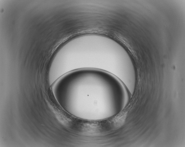 X0000087420164200704201054