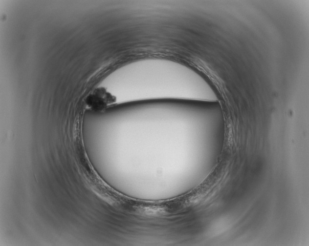 X0000087420165200704201054