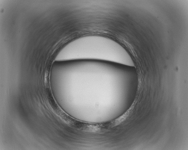 X0000087420166200704201054