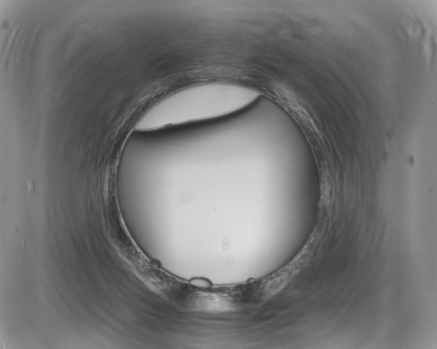 X0000087420167200704201054