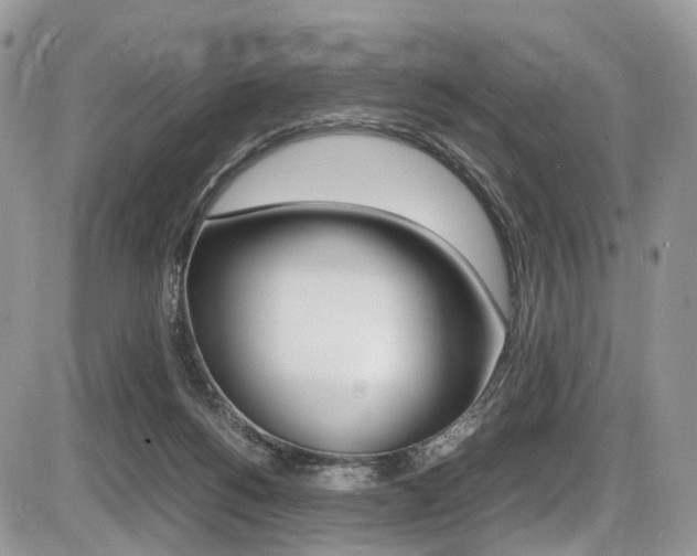 X0000087420168200704201054