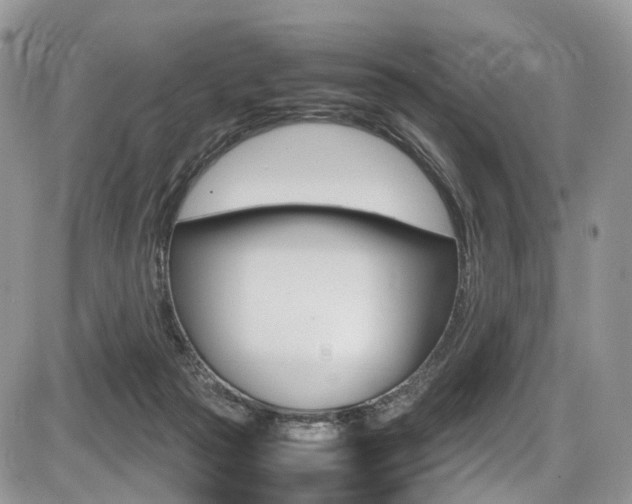 X0000087420169200704201054