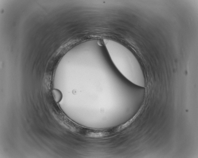 X0000087420171200704201054