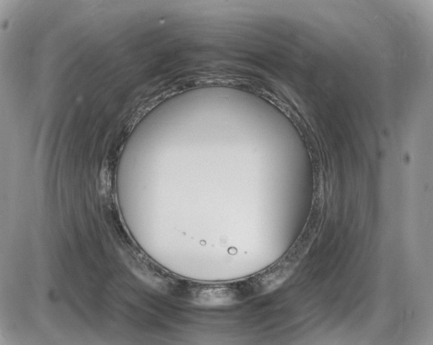 X0000087420173200704201054