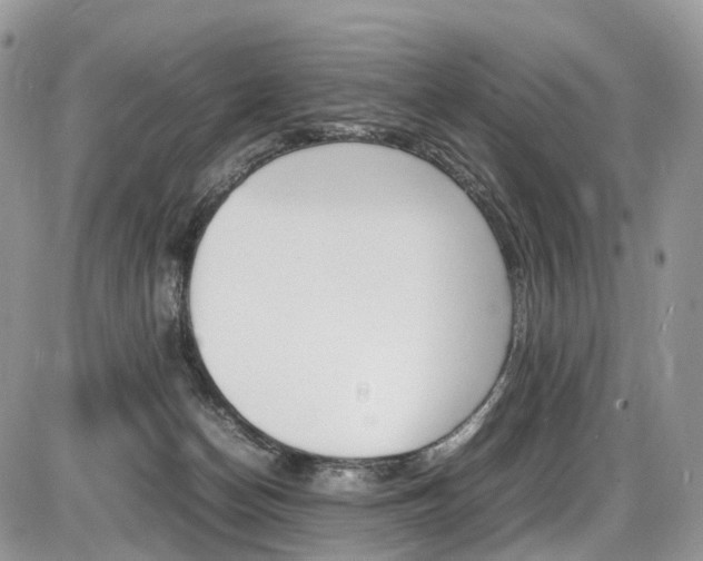 X0000087420174200704201054