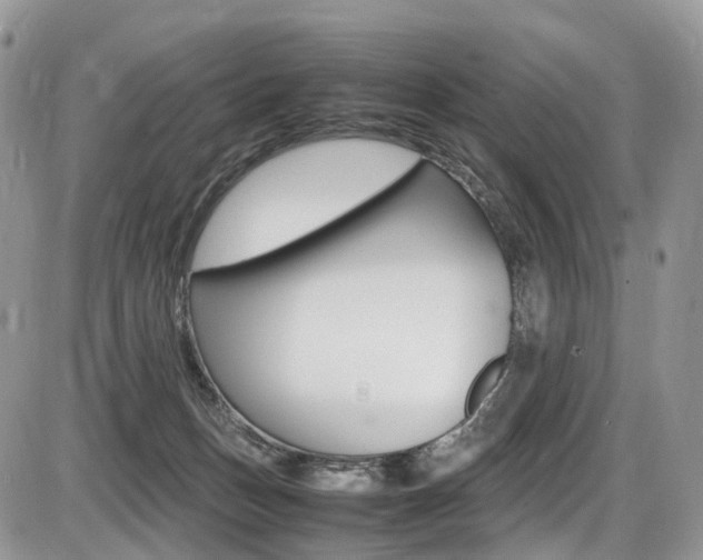 X0000087420175200704201054