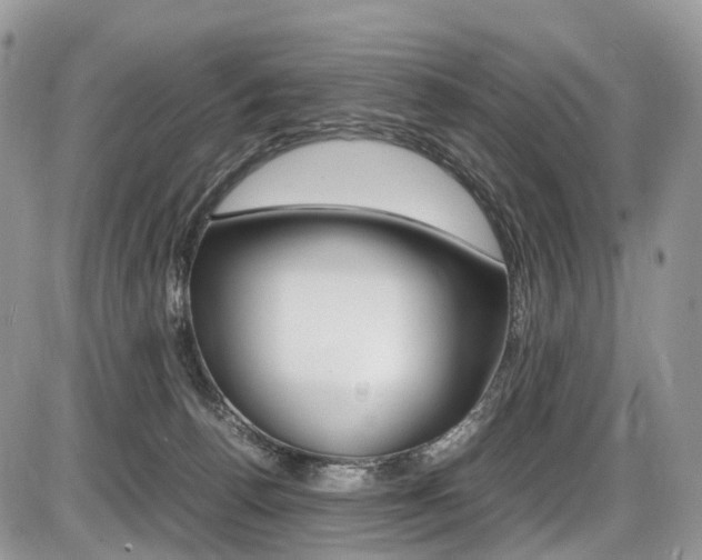 X0000087420176200704201054