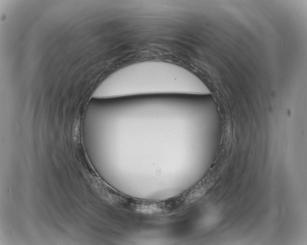 X0000087420177200704201054