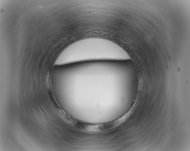 X0000087420178200704201054