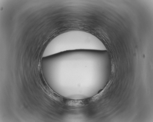 X0000087420179200704201054