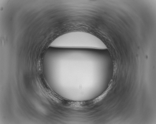 X0000087420182200704201055