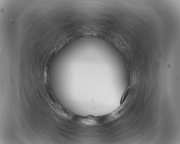 X0000087420183200704201055