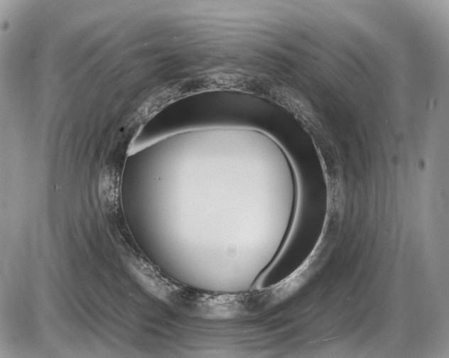 X0000087420186200704201055