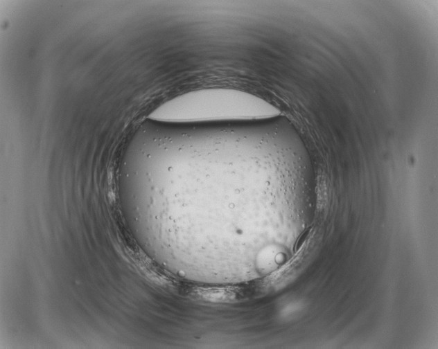 X0000087420187200704201055