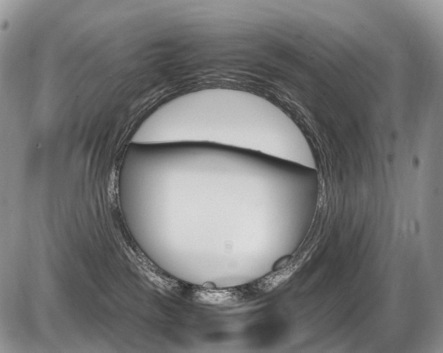 X0000087420189200704201055