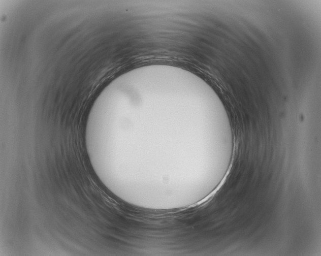 X0000087420190200704201055